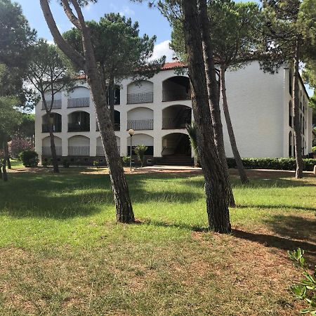 Studio 150M De La Mer Argelès-sur-Mer Exteriör bild